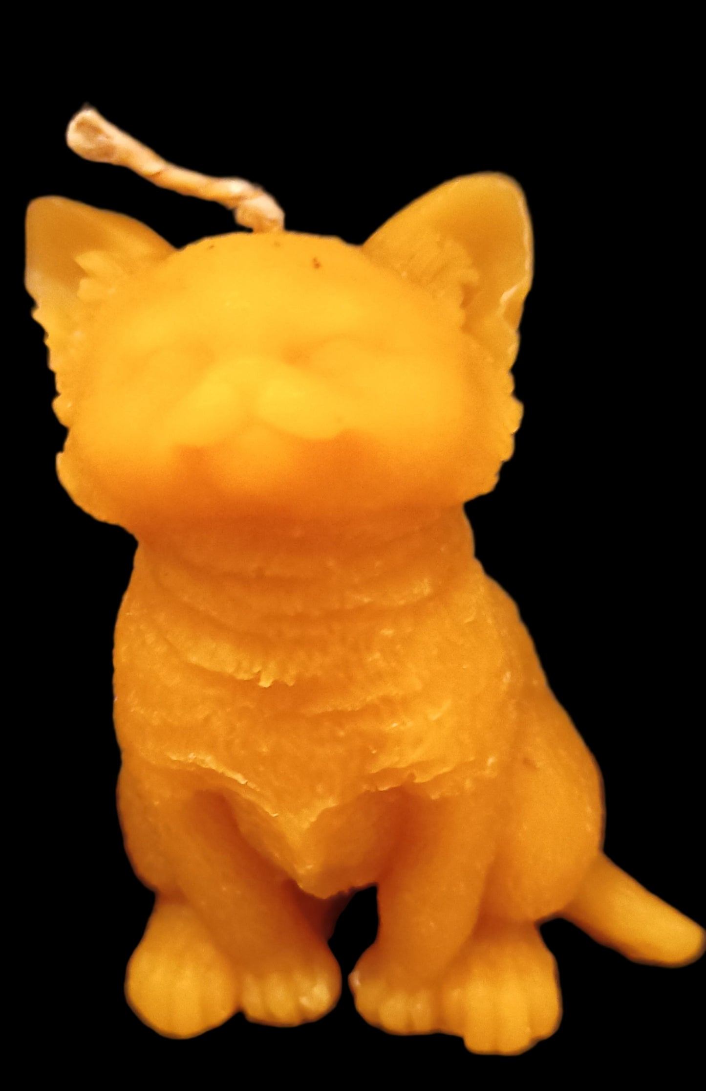 Cat candle