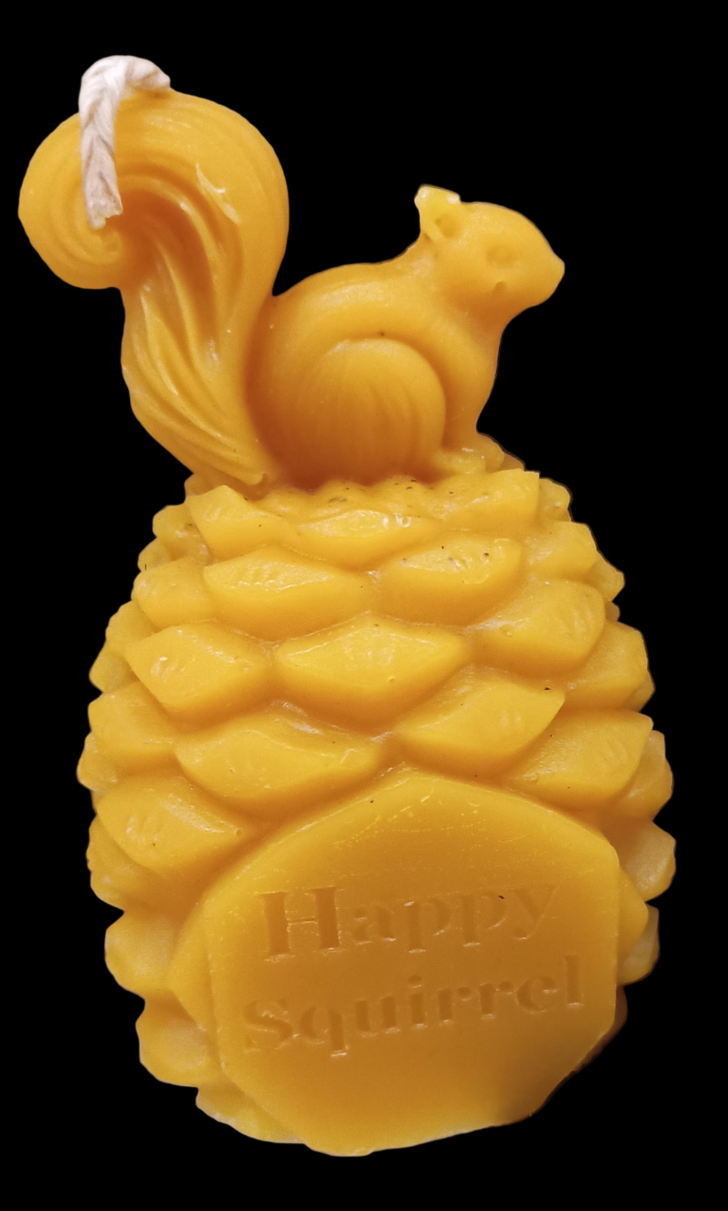 Squirrel 🐿️ with pine