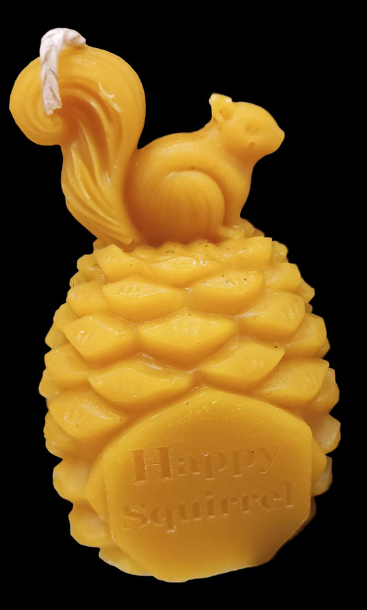 Squirrel 🐿️ with pine