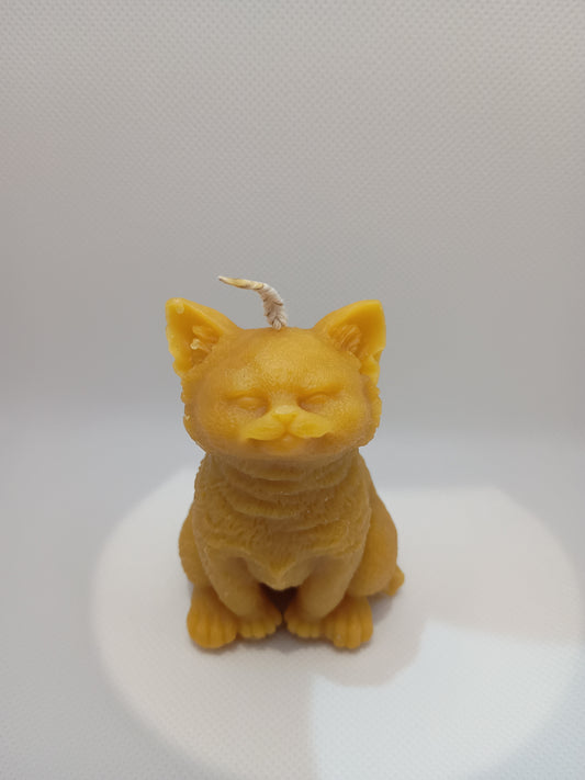 Cat candle