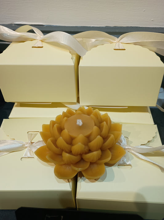 Lotus Beeswax Candle with Gift Box