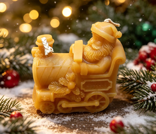Santa on a sleigh